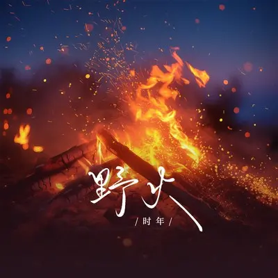 野火封面