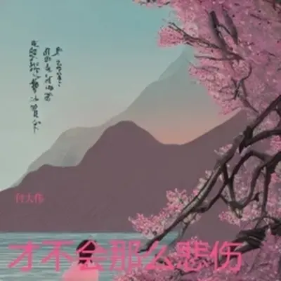 才不会那么悲伤（伴奏）封面