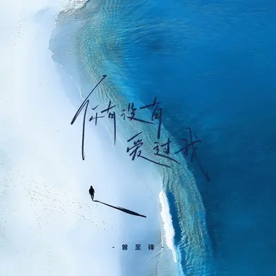 你有没有爱过我封面