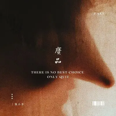 赝品封面