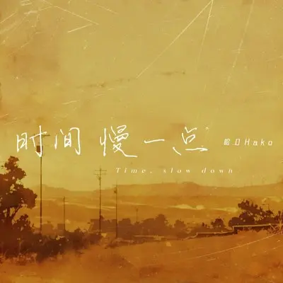 时间慢一点封面