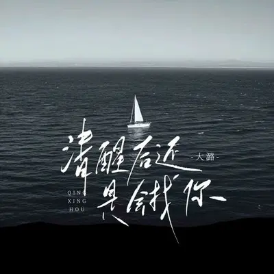 清醒后还是会找你(女版DJ)封面
