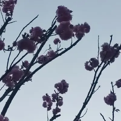 错误封面