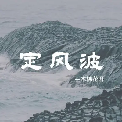 定风波 - 木棉花开封面