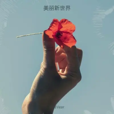 美丽新世界封面
