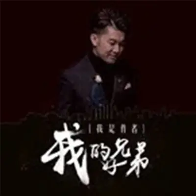 我的好兄弟封面