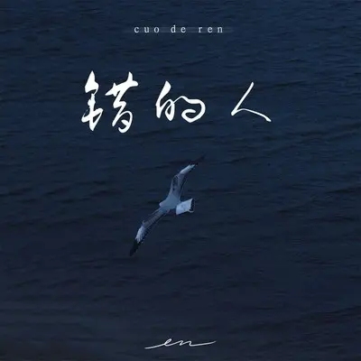 错的人封面