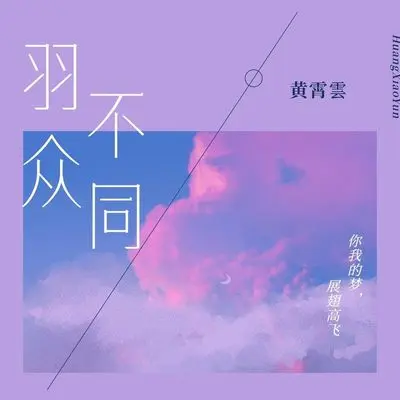 羽众不同 - 黄霄雲封面