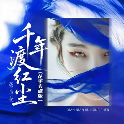 千年渡红尘（花手卡点版）封面