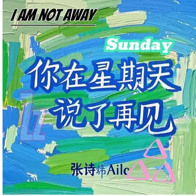 你在星期天说了再见封面