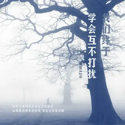 我们终于学会互不打扰封面
