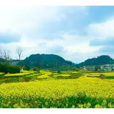 贵州永远在我心封面
