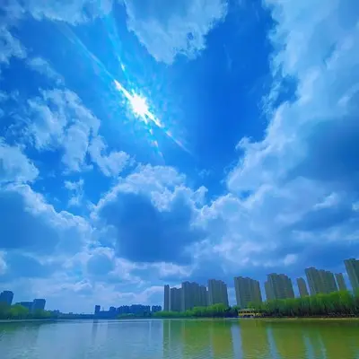 追光的翅膀封面