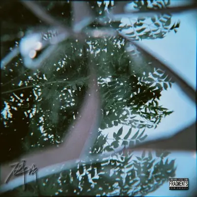 碎片 - EASYL / Doomie封面