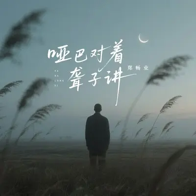 哑巴对着聋子讲封面