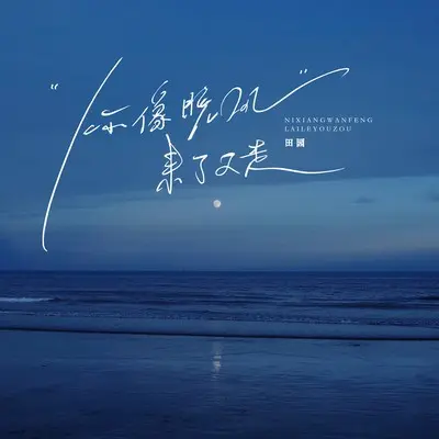你像晚风来了又走封面
