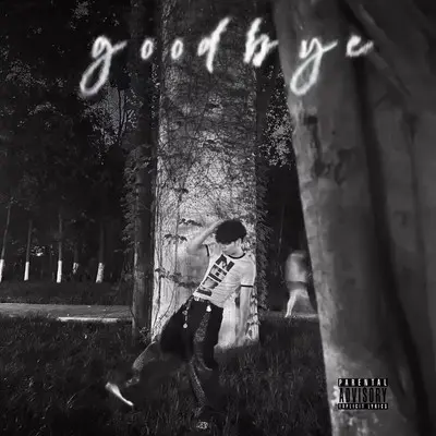 Goodbye(再见)封面