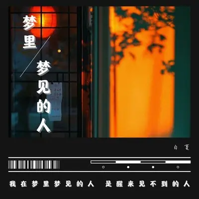 梦里梦见的人封面