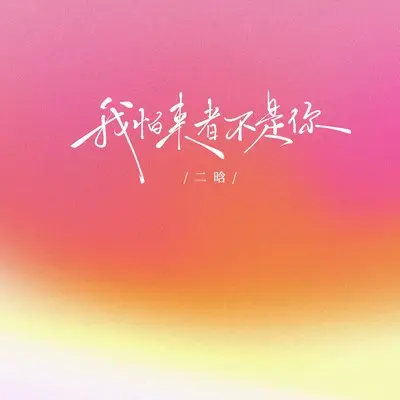 我怕来者不是你(动感DJ版)封面