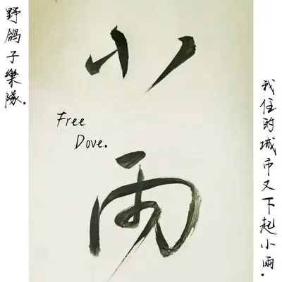 小雨 - 野鸽子 Free Dove封面