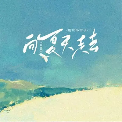 向夏天走去封面