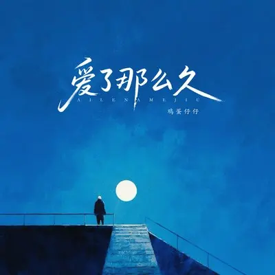爱了那么久封面