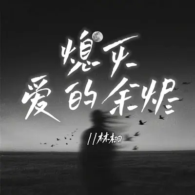 熄灭爱的余烬封面