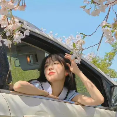 花欲落封面