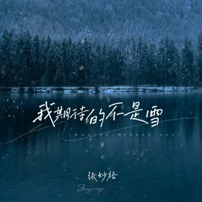 我期待的不是雪 (而是有你的冬天) (Live合唱版)封面