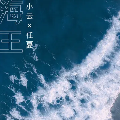 海王封面