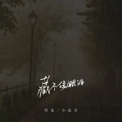 藏不住眼泪封面