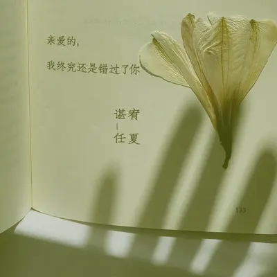 亲爱的,我终究还是错过你了 - 谌宥 / 任夏封面