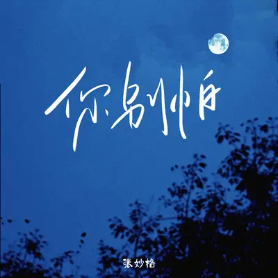 你别怕封面