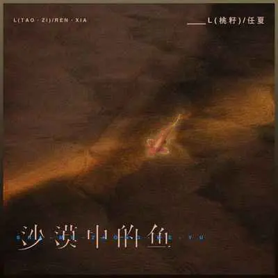 沙漠中的鱼（x0.9）封面