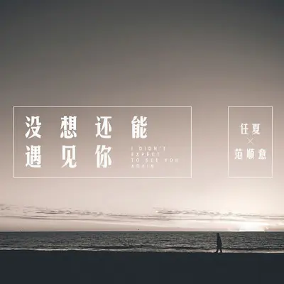 没想还能遇见你封面