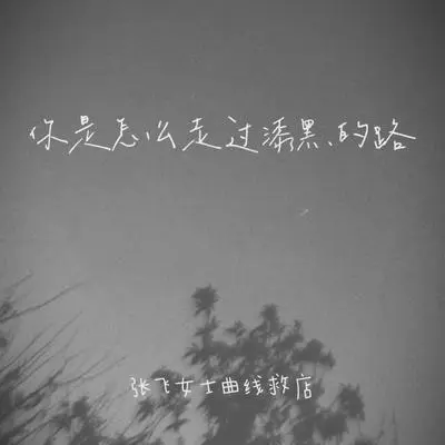 你是怎么走过漆黑的路 - 张飞女士曲线救店封面