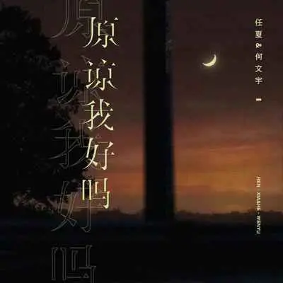 原谅我好吗封面