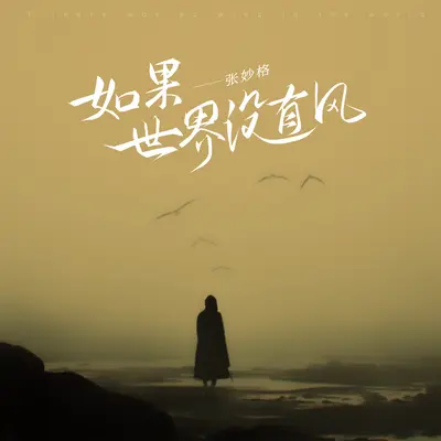 如果这世界没有风封面