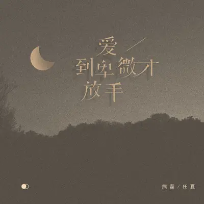 爱到卑微才放手 (DJ武圣雄版) - 熊磊 / 任夏封面
