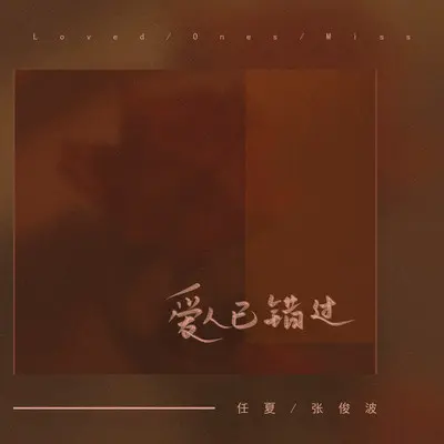 爱人已错过封面