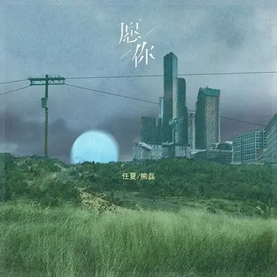 愿你（DJ Eva合唱版） - 任夏 / 熊磊封面