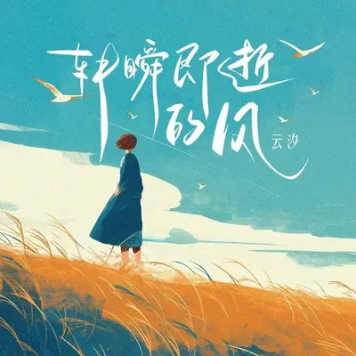 转瞬即逝的风 - 云汐封面