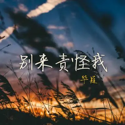 别来责怪我封面