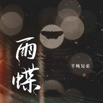 雨蝶 (DJ沈念版)封面