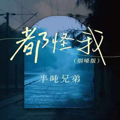 都怪我 (DJ亚明版) - 半吨兄弟封面