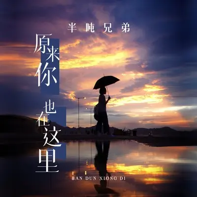 原来你也在这里 (DJ九零版伴奏)封面
