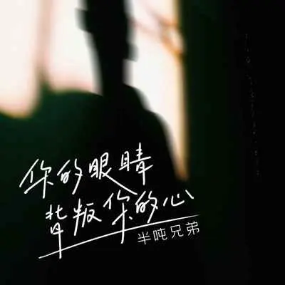 你的眼睛背叛你的心 (DJ久乐版)封面
