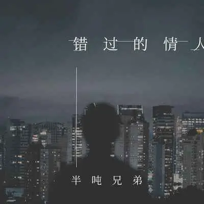 错过的情人 (DJ久乐版) - 半吨兄弟封面