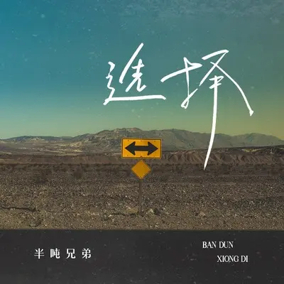 选择 (DJ九零版)封面