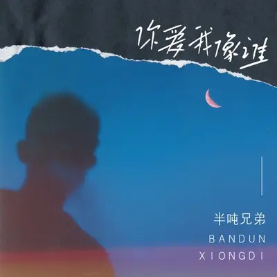 你爱我像谁 (DJ默涵版)封面